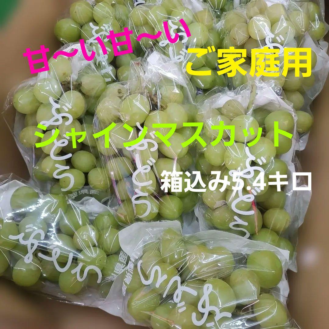 5️⃣ 山梨県産 シャインマスカット １１房入り 箱込み5.4キロ