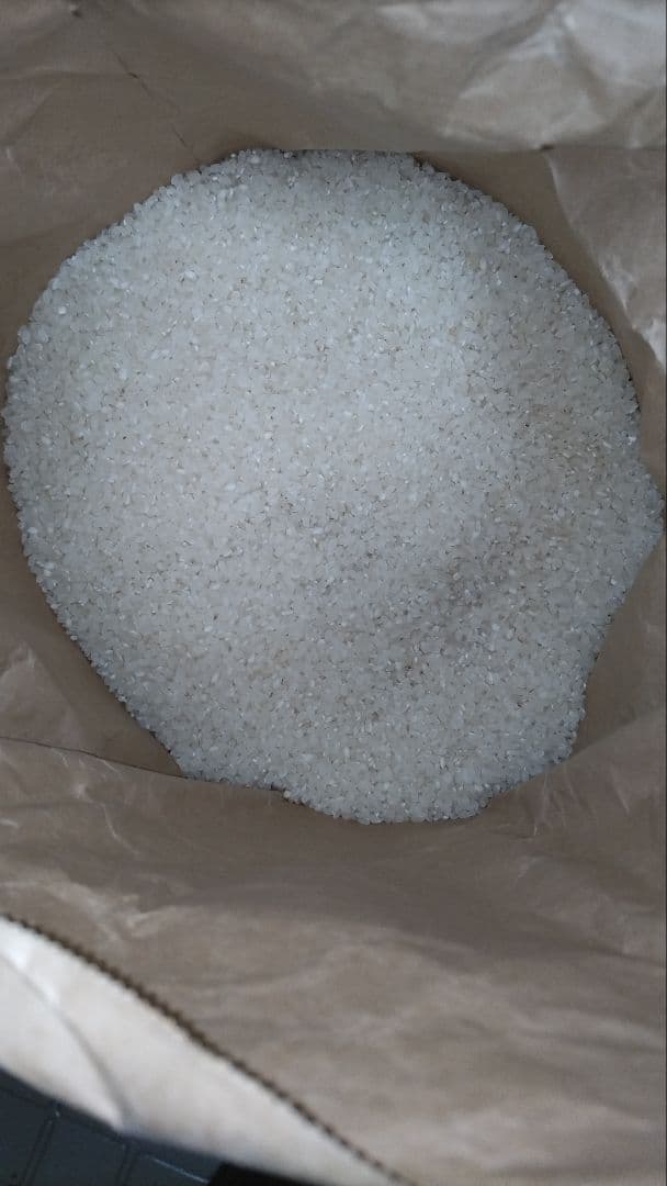 岡山産キヌムスメ2025年収穫15キロ