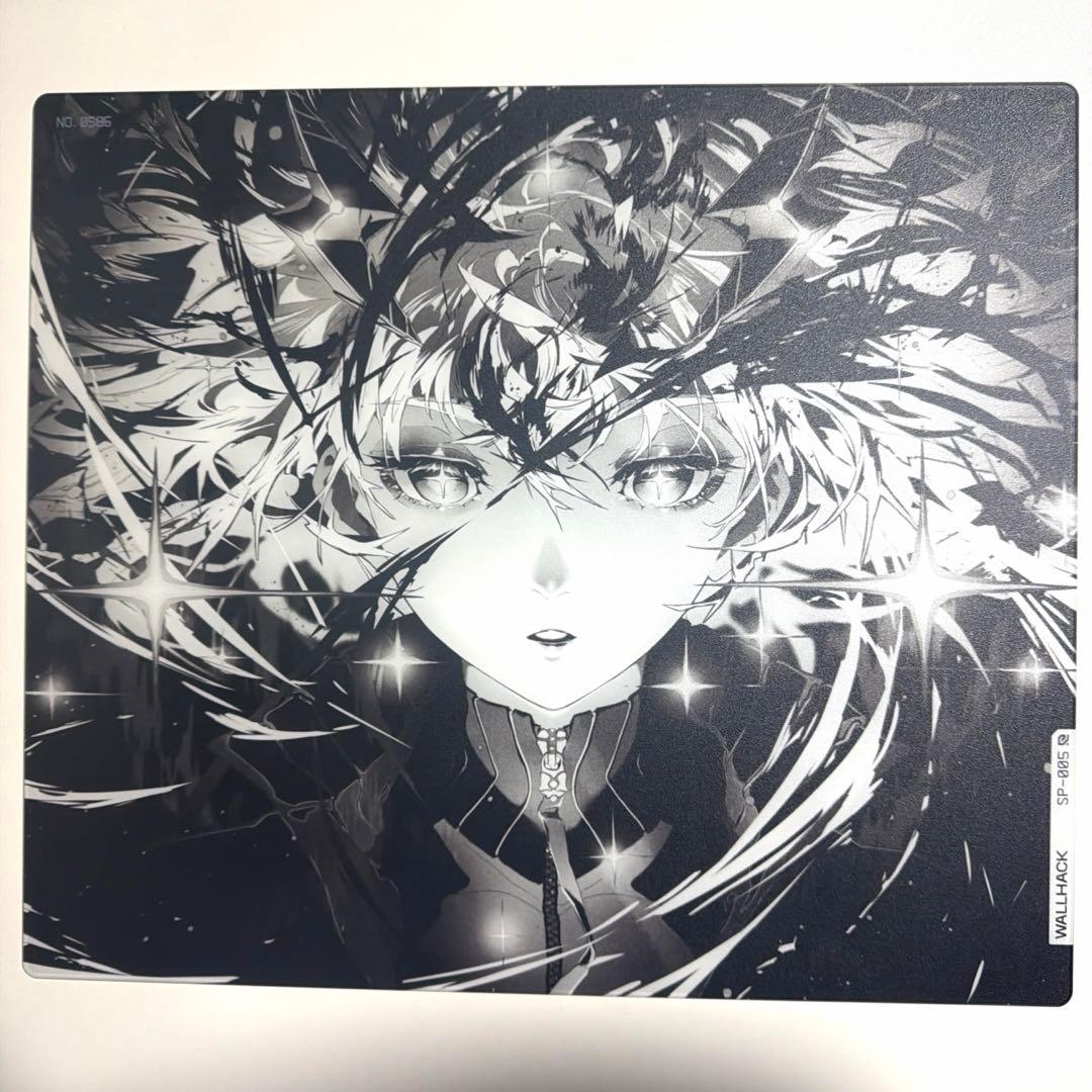 WALLHACK 限定版SP-005 Awakening Sora