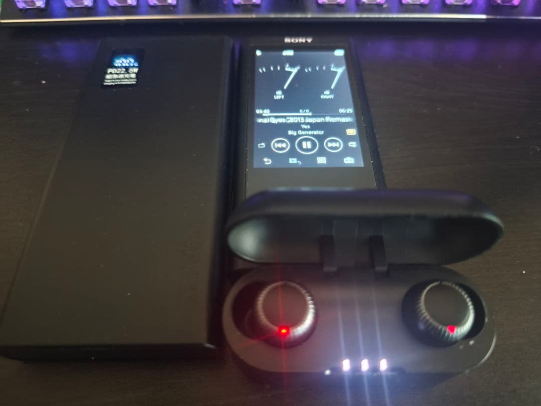 ウォークマンNW-ZX300です。電池はSONY交換済みです。おまけつき。