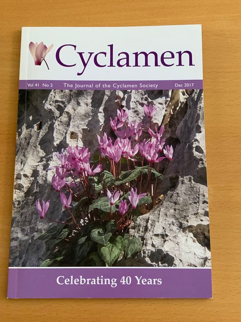 英国シクラメン協会ジャーナル16冊 幻の原種シクラメン ソマレンセ タイルバーン
