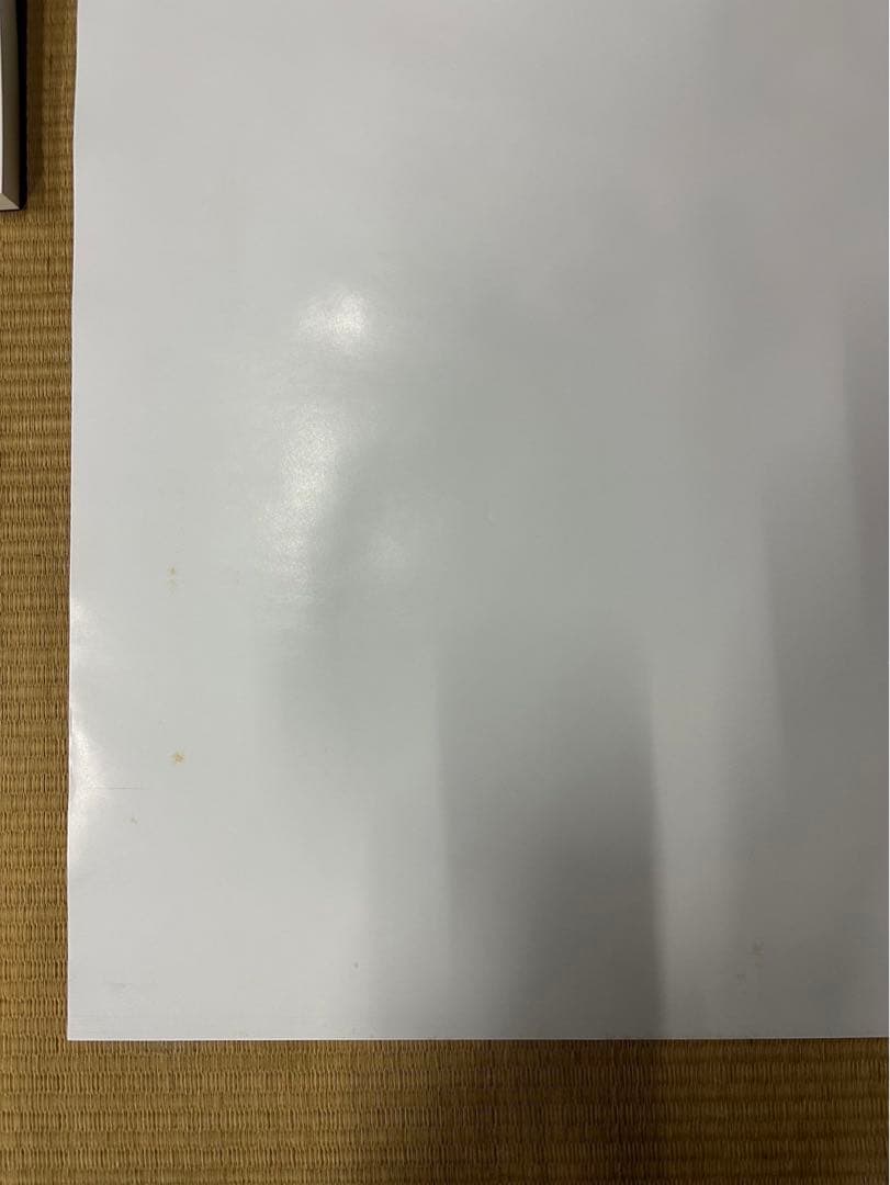 マ*コ様 【24】トトロ　ポスター　激レア　希少