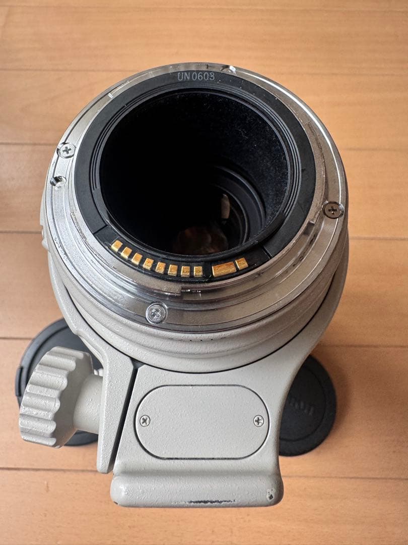 EF100-400mm F4.5-5.6L IS USM 望遠レンズ