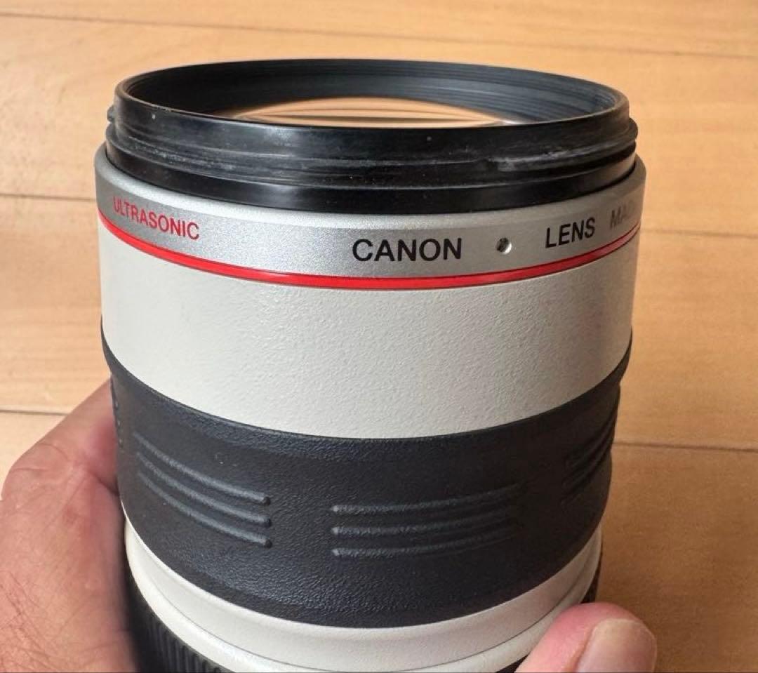 EF100-400mm F4.5-5.6L IS USM 望遠レンズ
