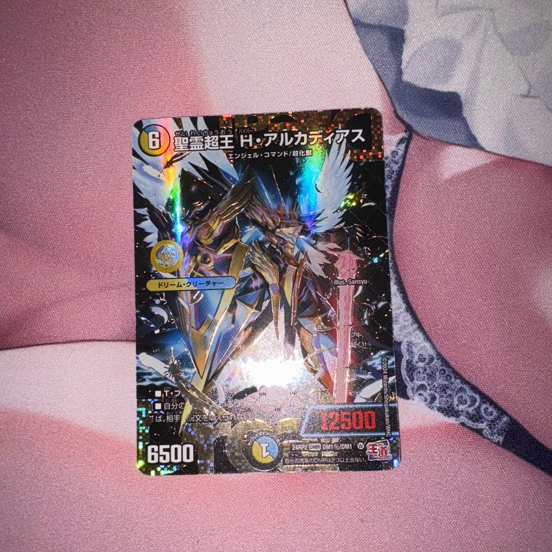 聖霊超王 H・アルカディアス　シク