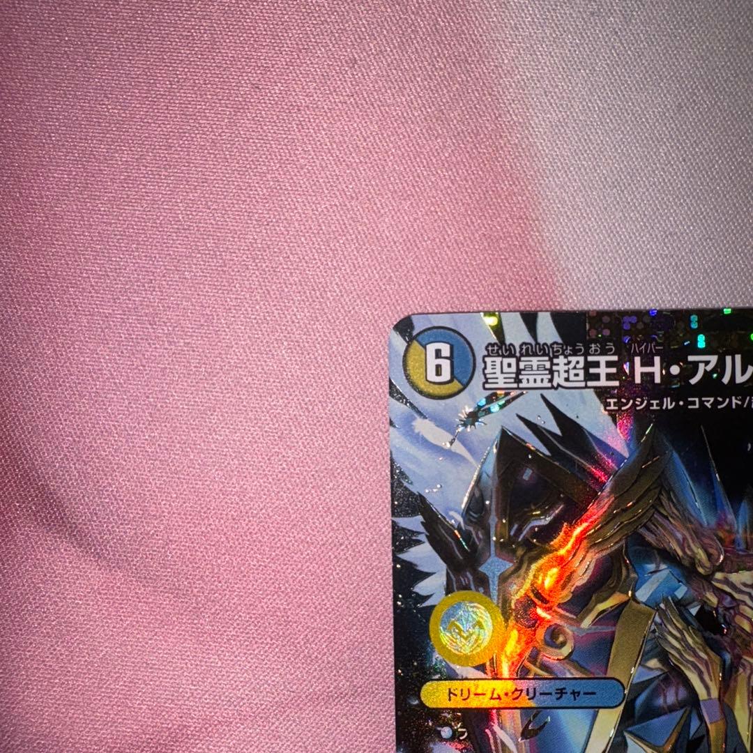 聖霊超王 H・アルカディアス　シク