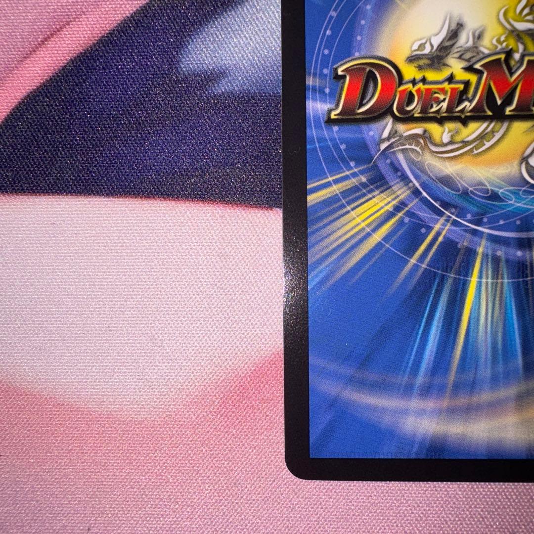 聖霊超王 H・アルカディアス　シク