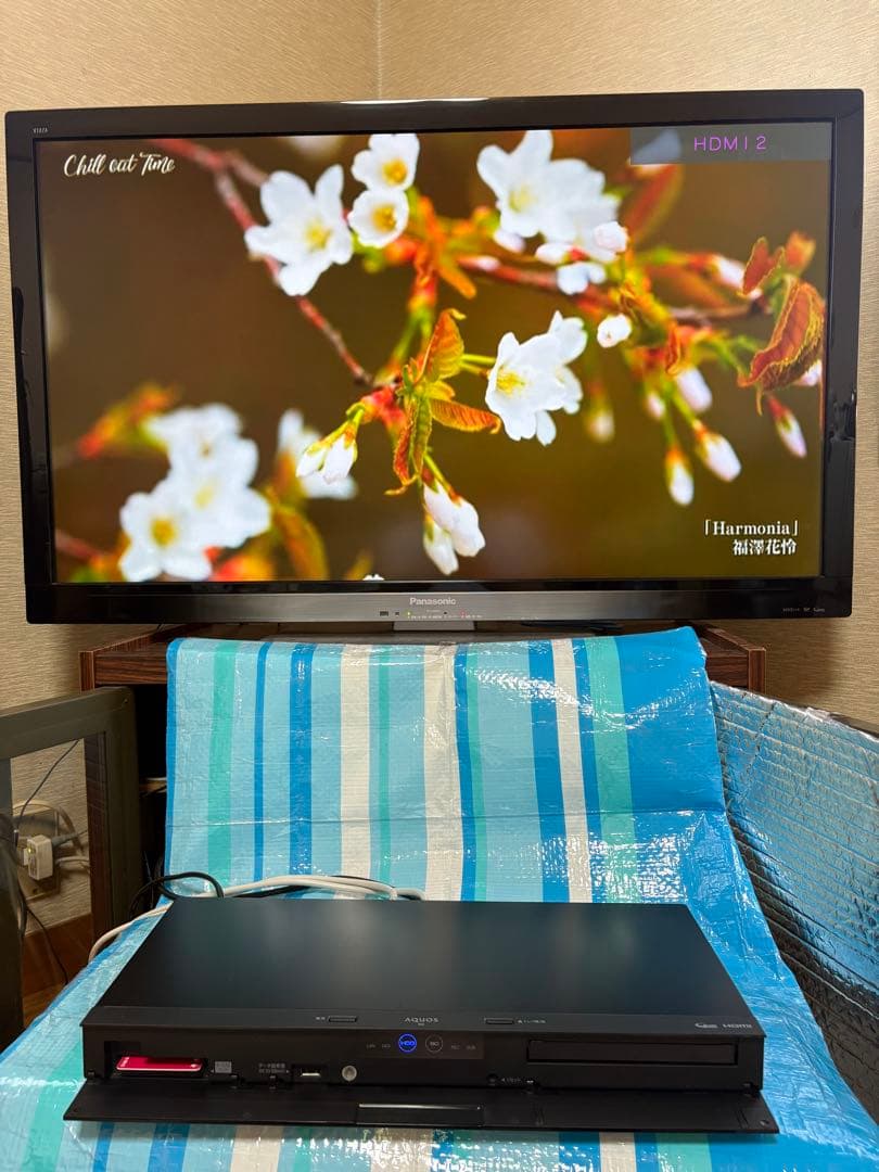 AQUOS ブルーレイレコーダ(W録/500GB)