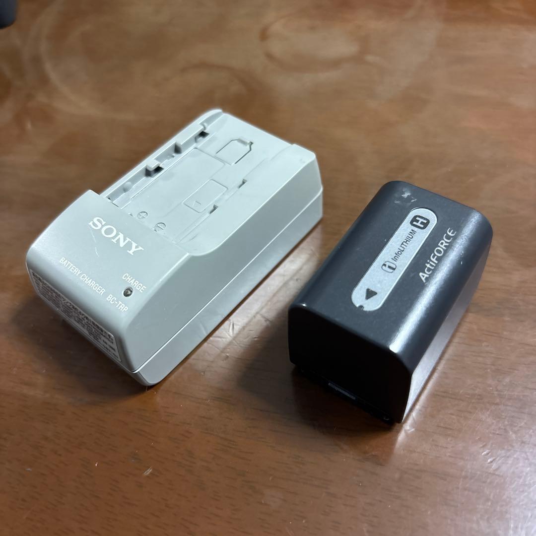 SONY Exmor R HD AVCHD ビデオカメラ本体