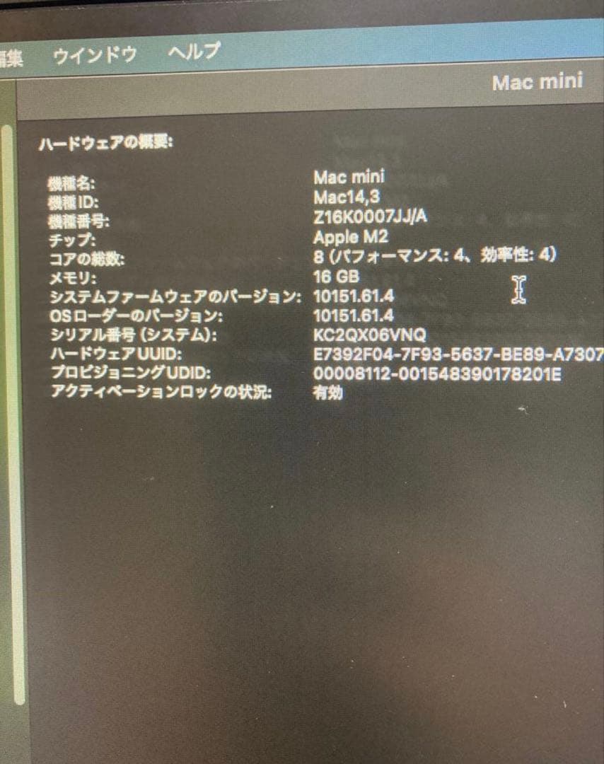 Apple Mac mini 2023 M2 メモリ16GB SSD 1TB