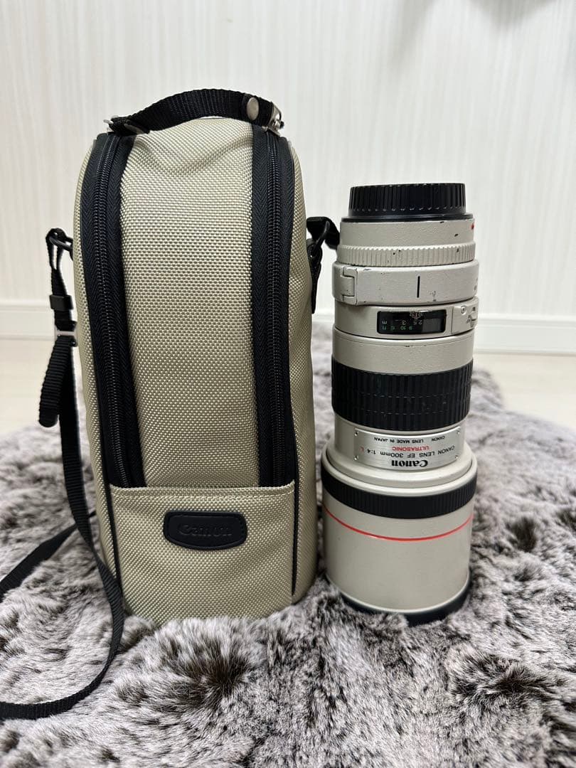 Canon EF 300mm f/4 L USM レンズ　単焦点