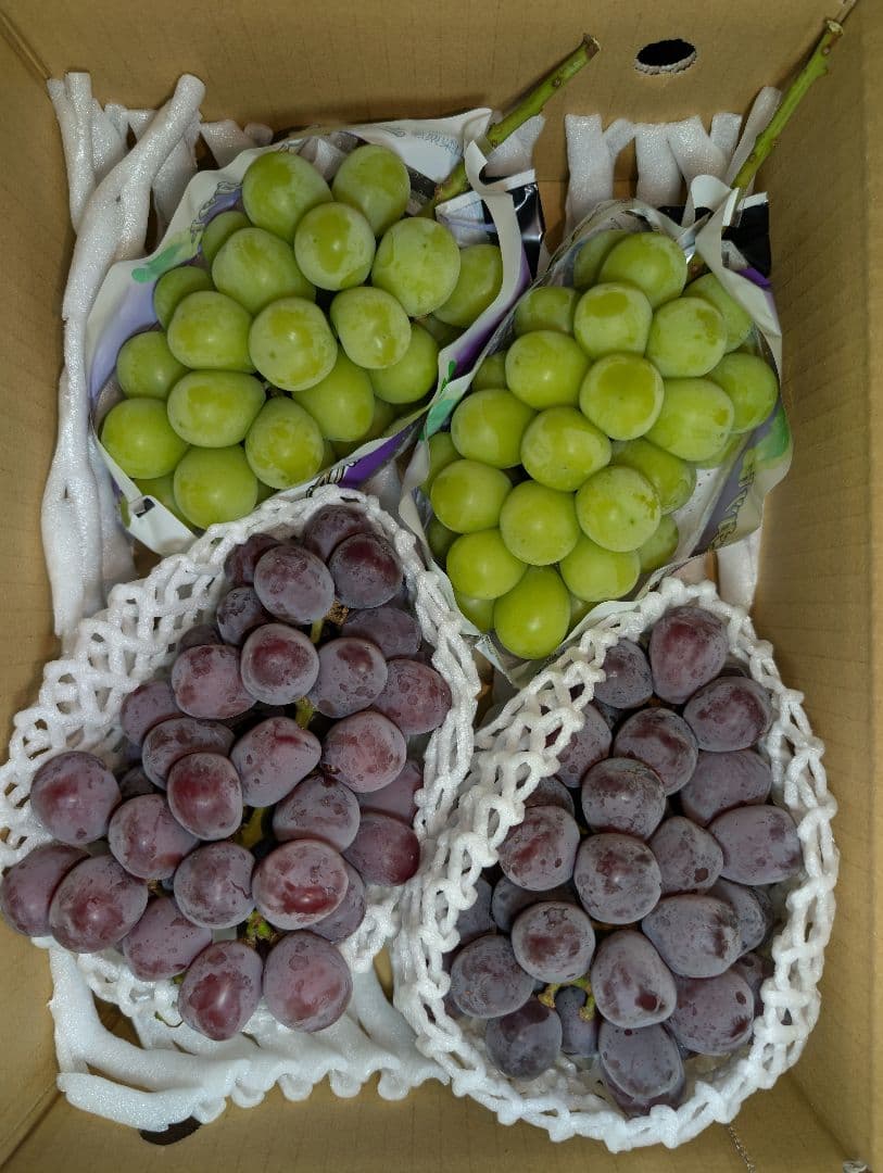 山梨県産ぶどう　美和姫　共選シャイン　4房入り箱込み約2.7kg