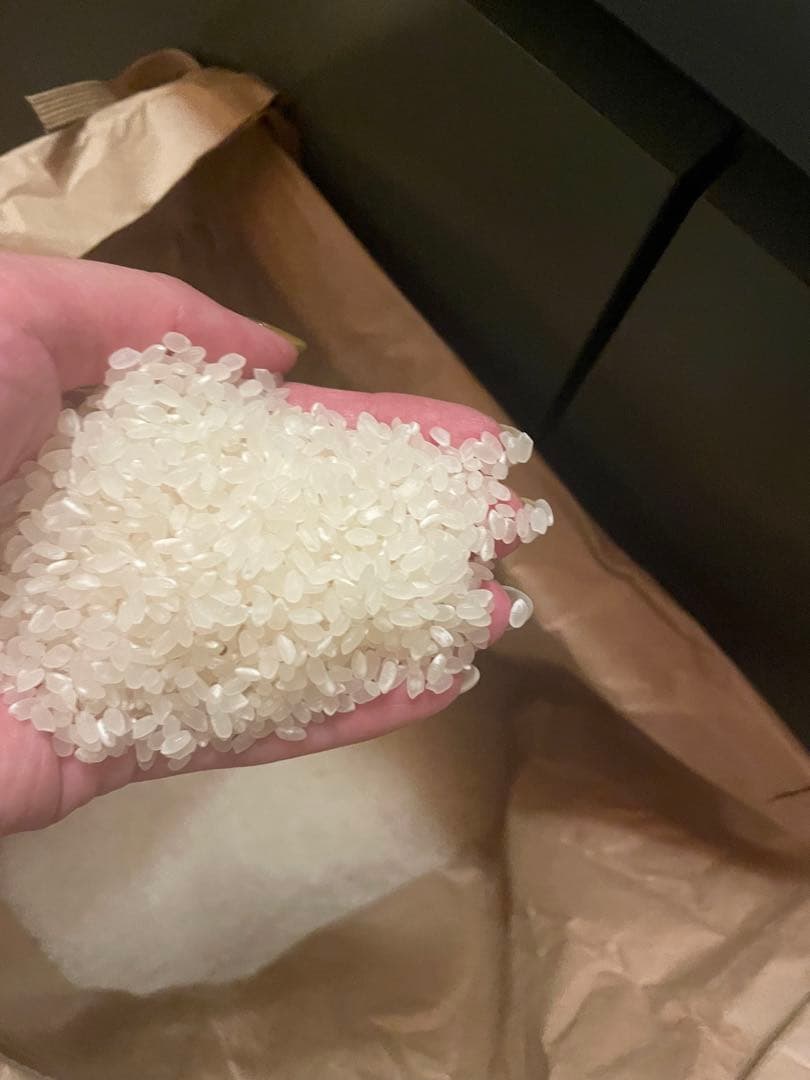 農家直送　和歌山産　にこまる　玄米10キロ　精米無料　無消毒　令和7年産