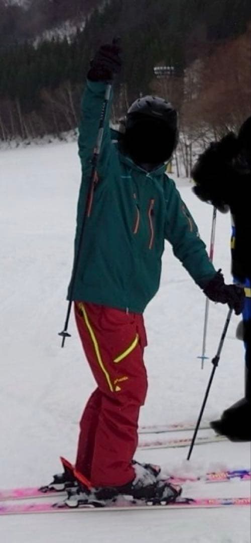 Phenix スキーウェア　サイズL フェニックス　デモ　上下