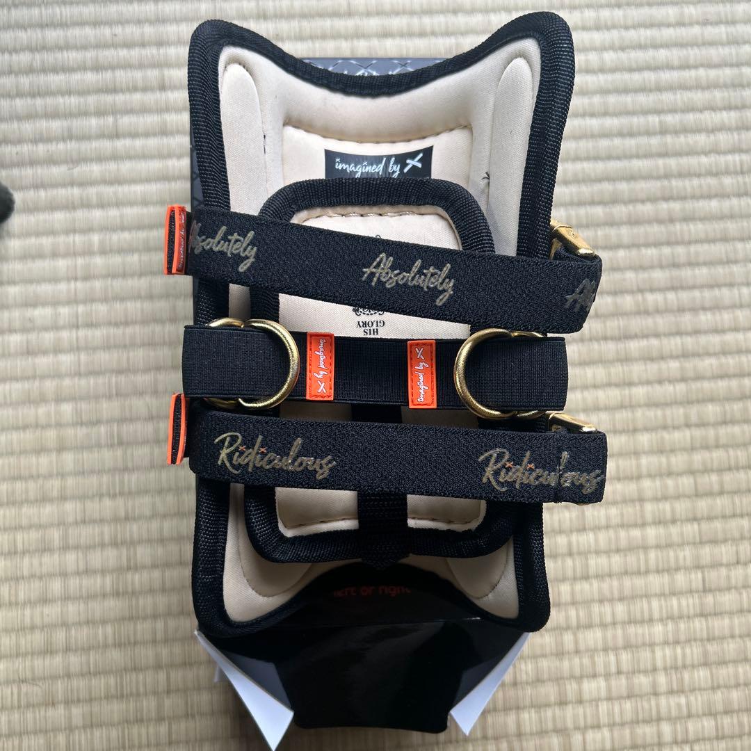 absolutely ridiculous レッグガード