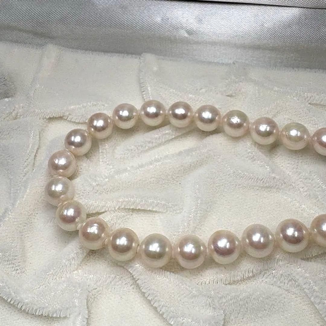 テリ強/本真珠 パール ネックレス シルバー金具 7.5~7.9 43cm