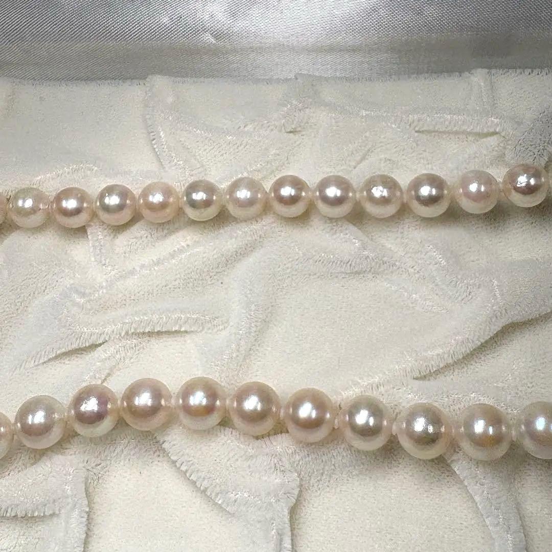 テリ強/本真珠 パール ネックレス シルバー金具 7.5~7.9 43cm