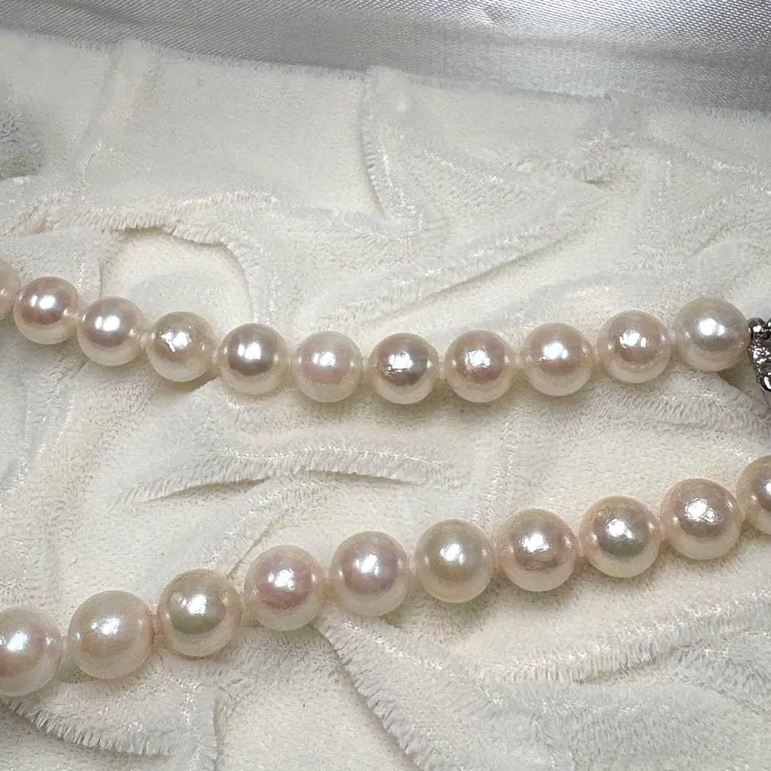 テリ強/本真珠 パール ネックレス シルバー金具 7.5~7.9 43cm