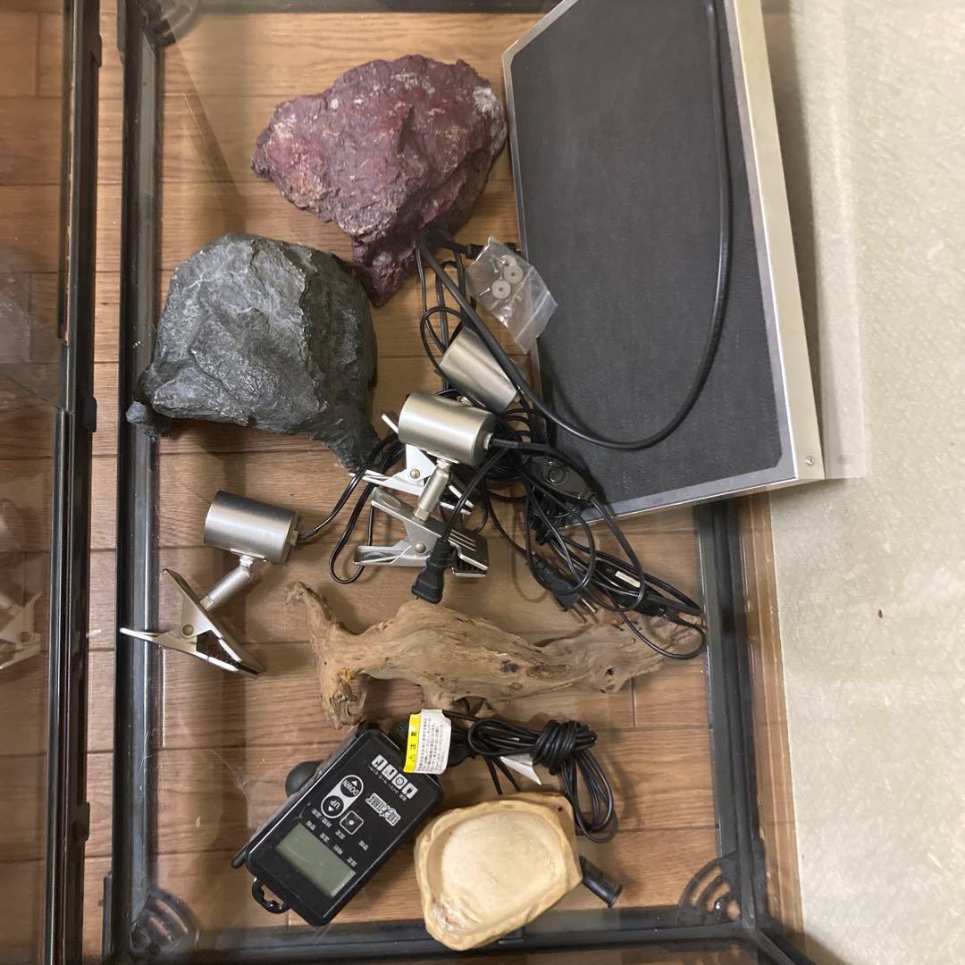 大型飼育ケージ ガラス製 メッシュカバー付きバラ売りも可能