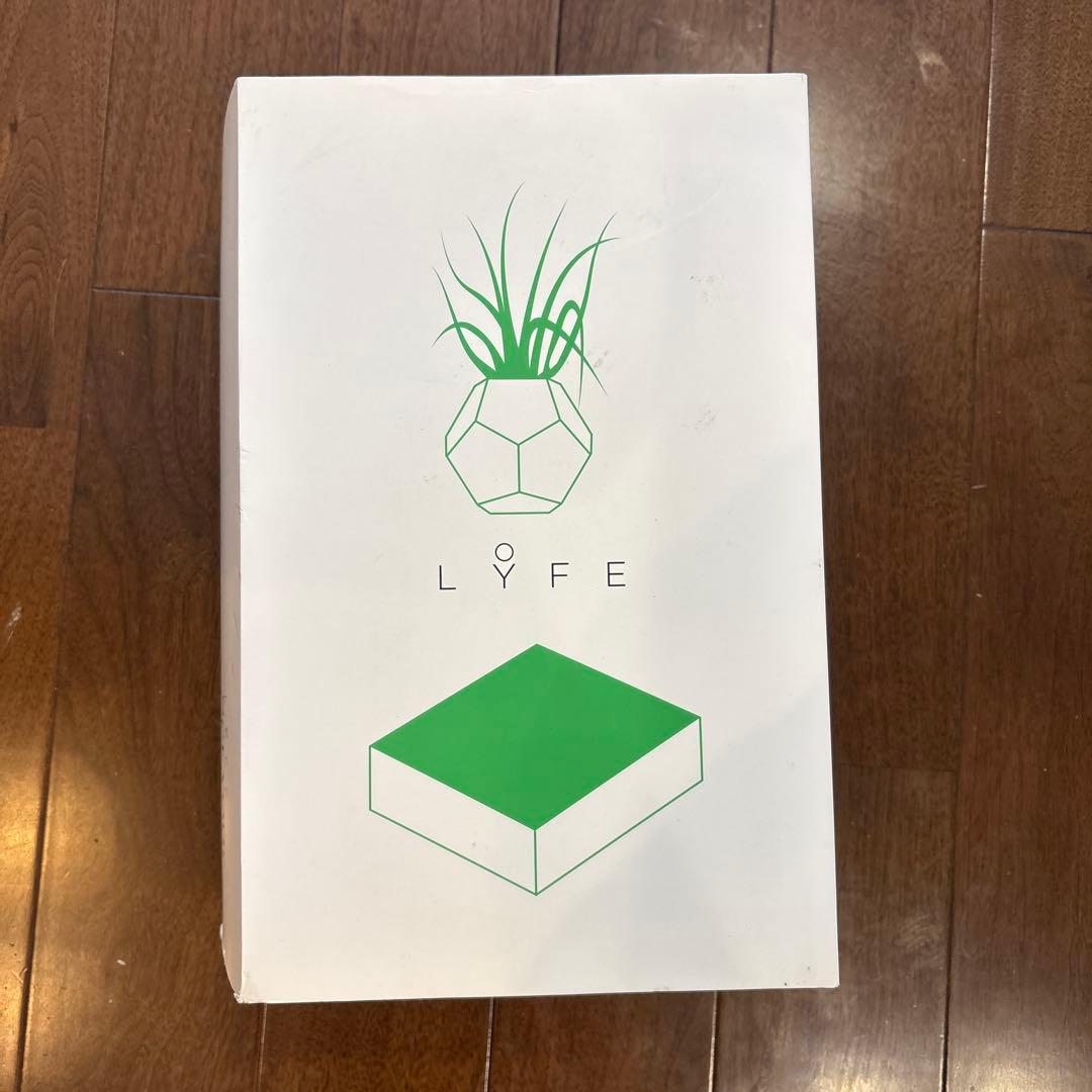 空中に植物を浮かせる 新しいプランター