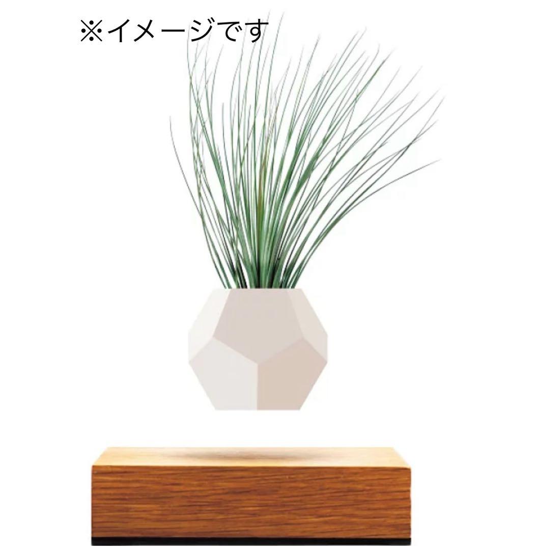 空中に植物を浮かせる 新しいプランター