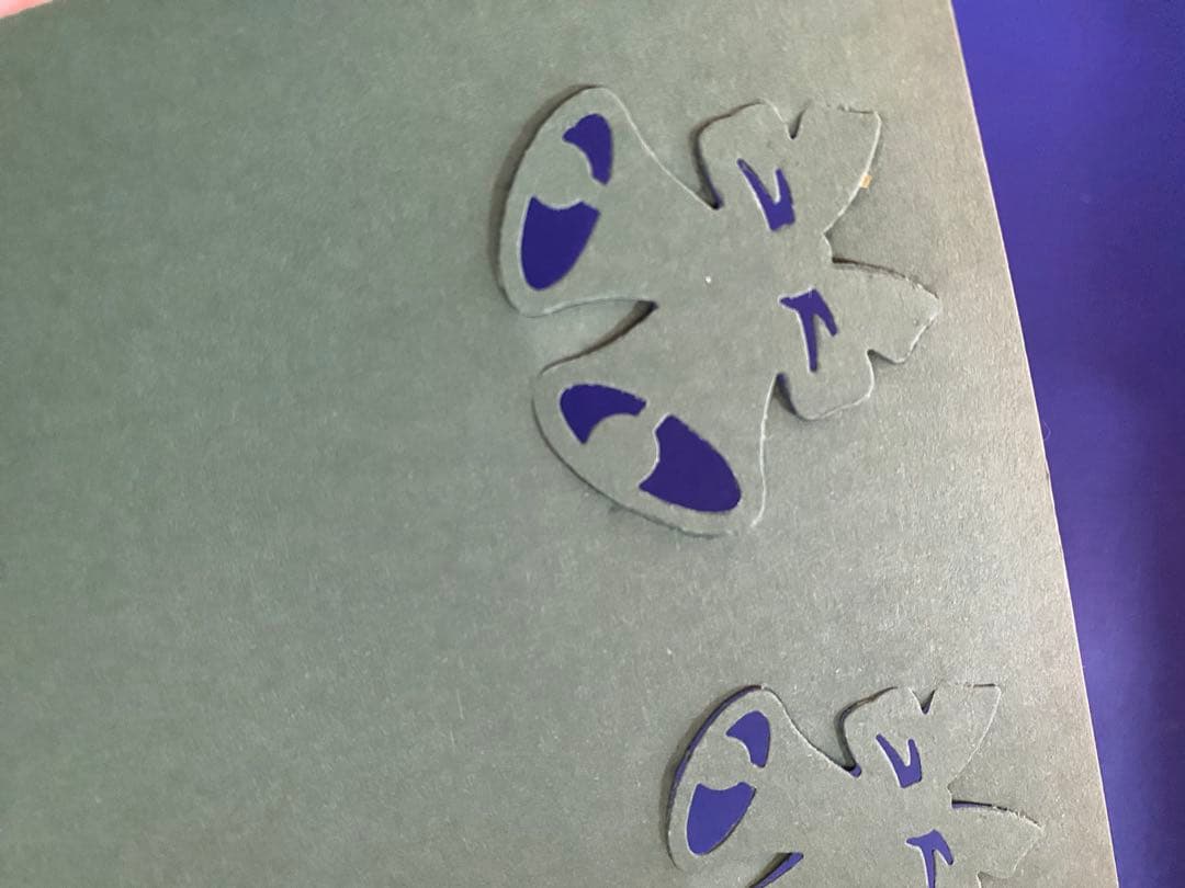 専用ページ　クリエイティブメモリーズB5.9.13.17