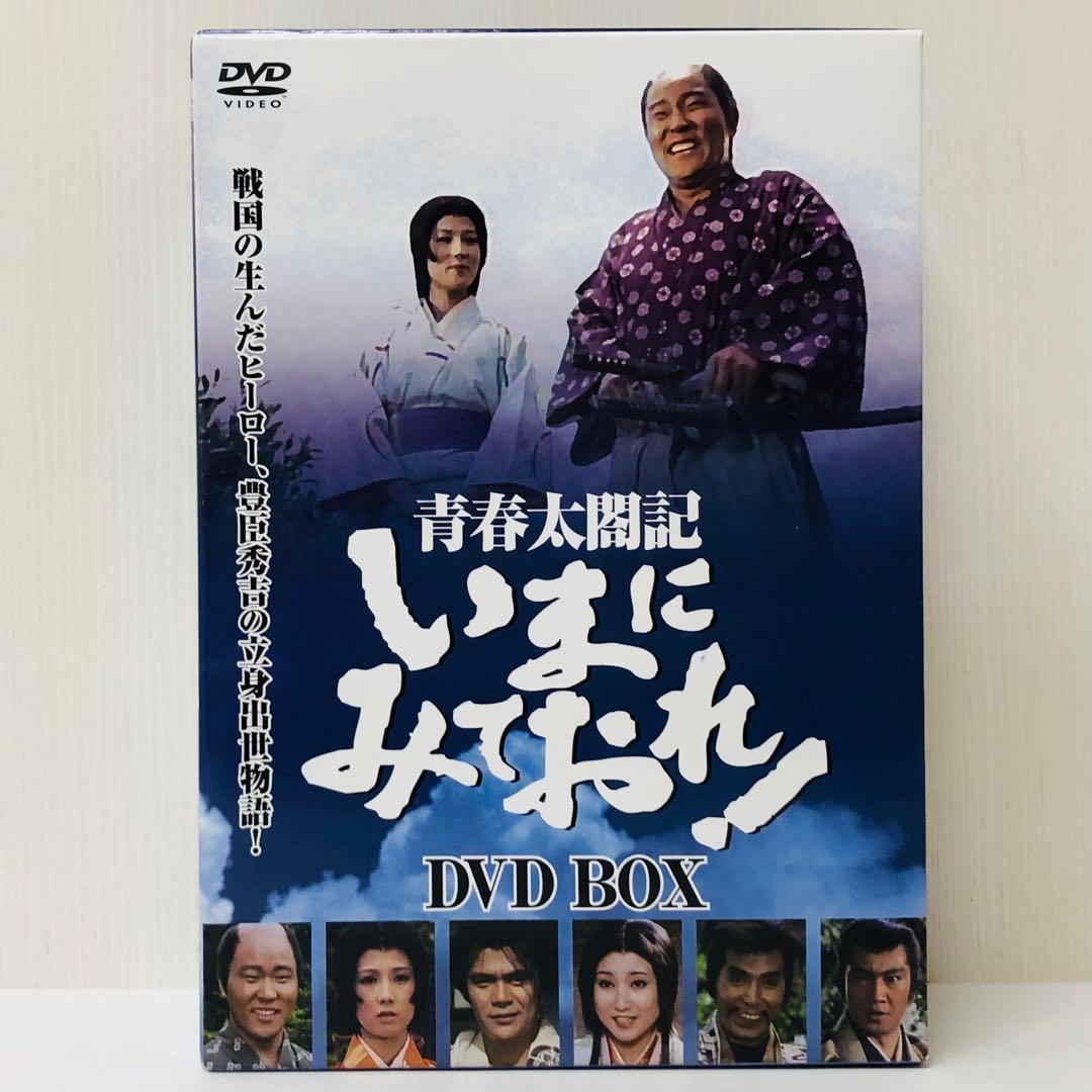 青春太閤記 いまにみておれ!DVD-BOX〈4枚組〉