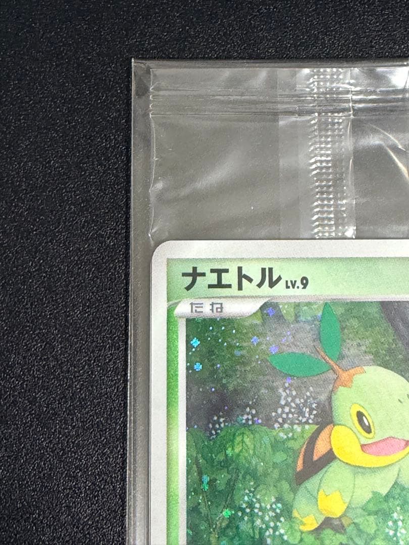 スラリ様【未開封】トレーナズクラブプロモ　プレイヤーズ2007年001/PPP