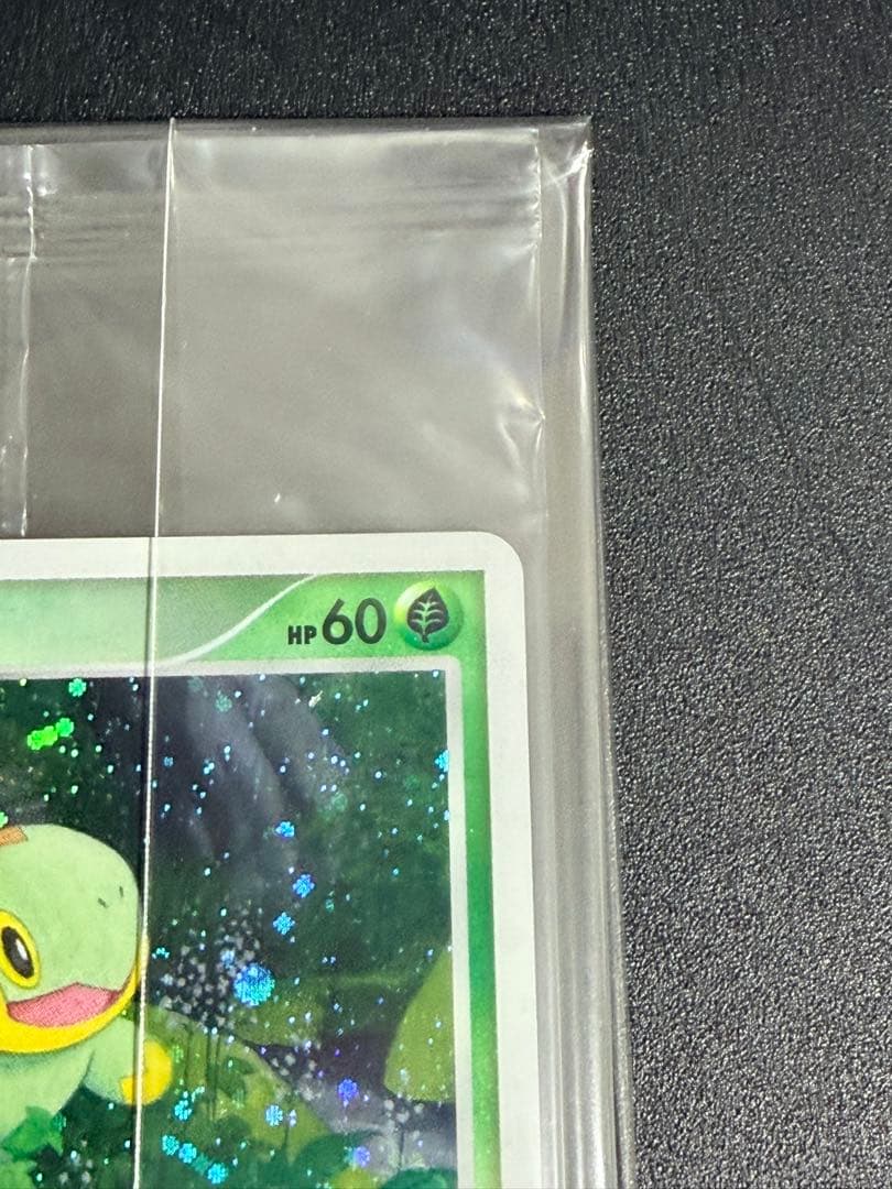 スラリ様【未開封】トレーナズクラブプロモ　プレイヤーズ2007年001/PPP