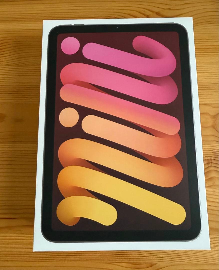 iPad mini Wi-Fi＋Cellularモデル256GB スターライト