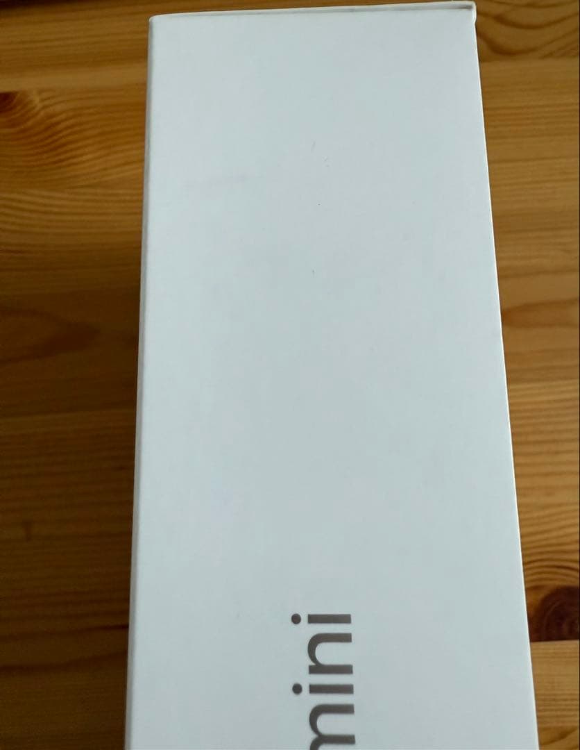 iPad mini Wi-Fi＋Cellularモデル256GB スターライト