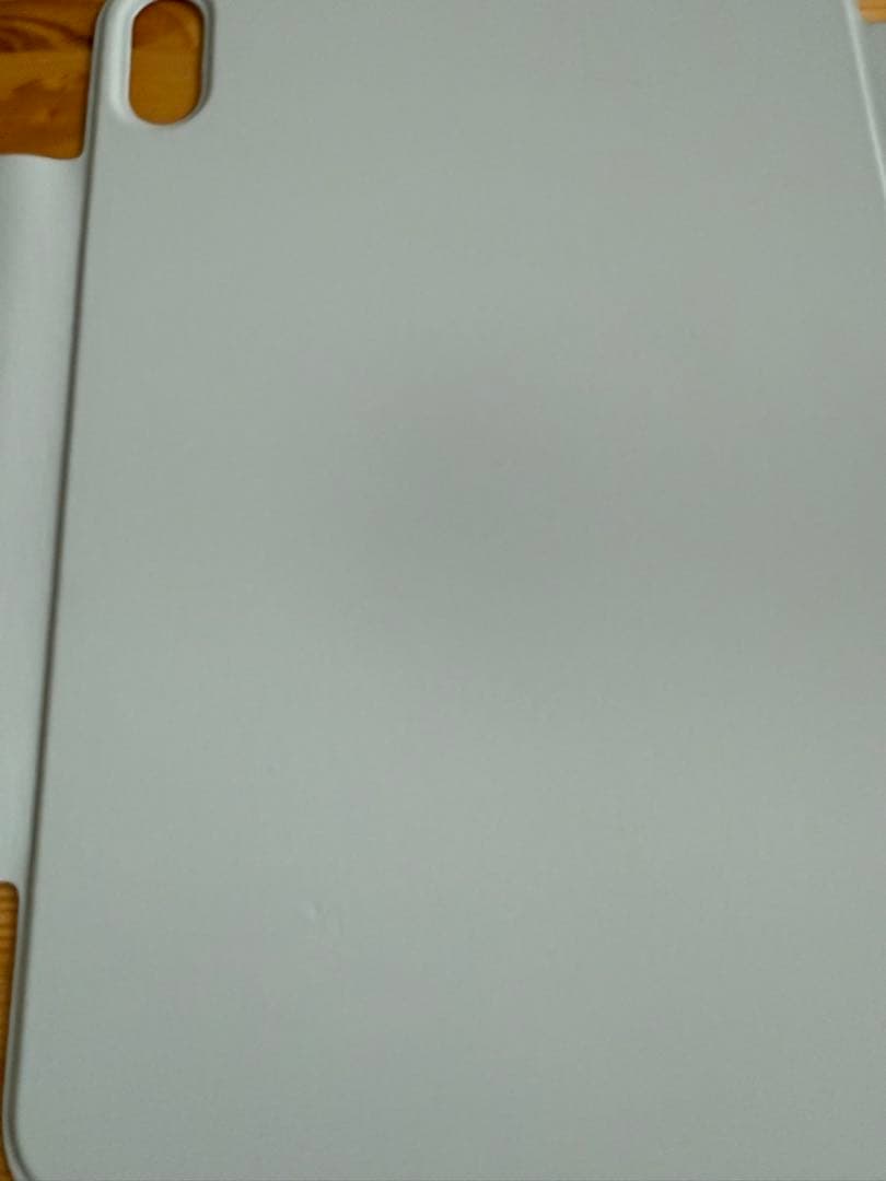 iPad mini Wi-Fi＋Cellularモデル256GB スターライト