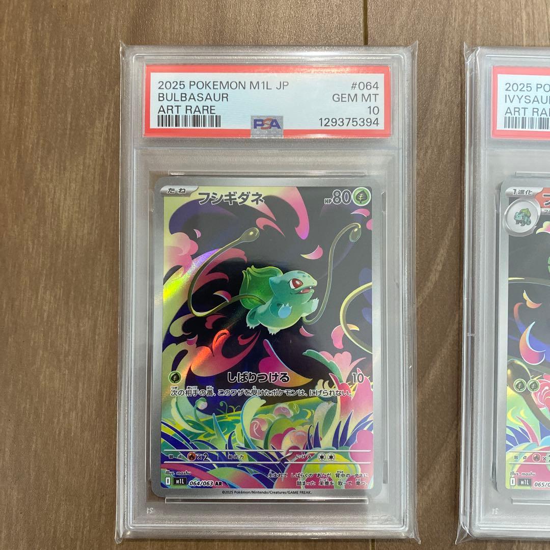 【PSA10 3連番】フシギダネ フシギソウ メガフシギバナex sar