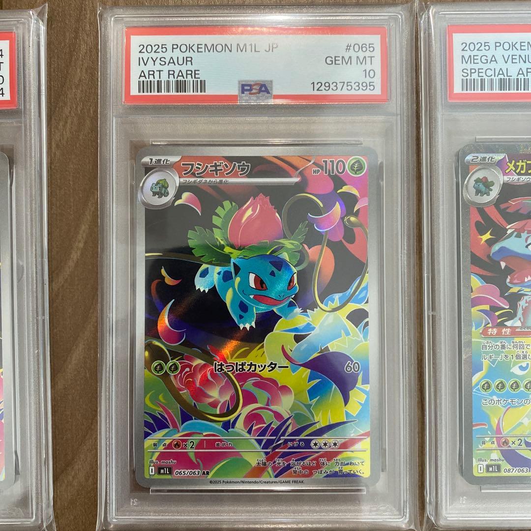 【PSA10 3連番】フシギダネ フシギソウ メガフシギバナex sar