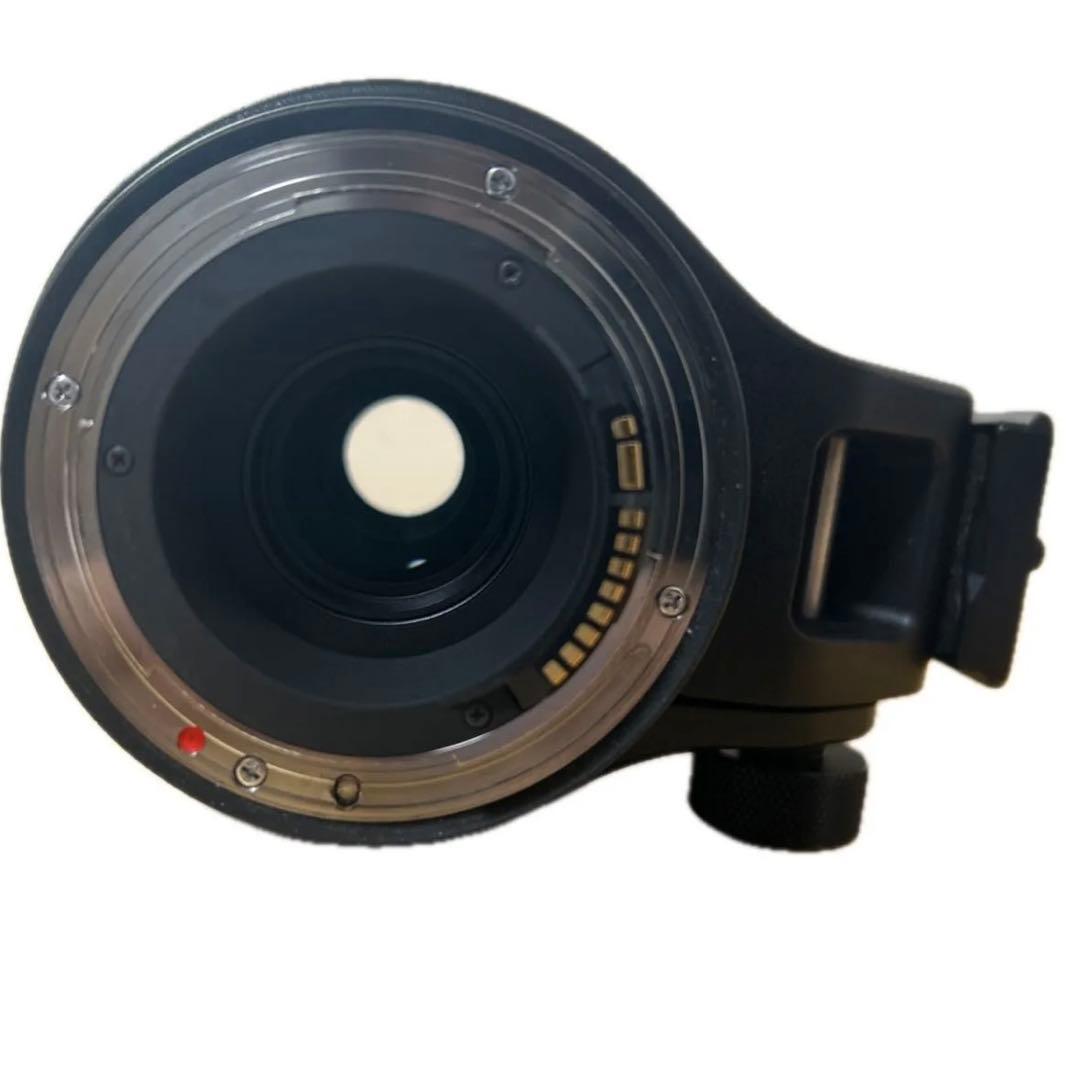 [美品] SIGMA 150-600mm F5-6.3 DG OS HSM