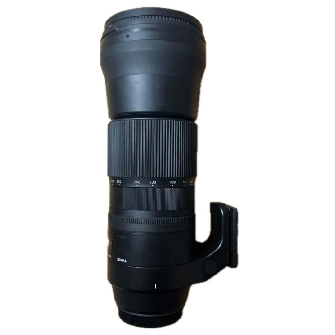 [美品] SIGMA 150-600mm F5-6.3 DG OS HSM