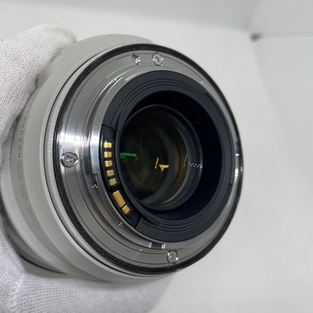 c*o様 Canon EF 70-300mm f/4-5.6 L IS USM