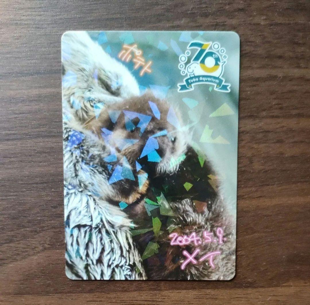 鳥羽水族館　赤ちゃん　メイ