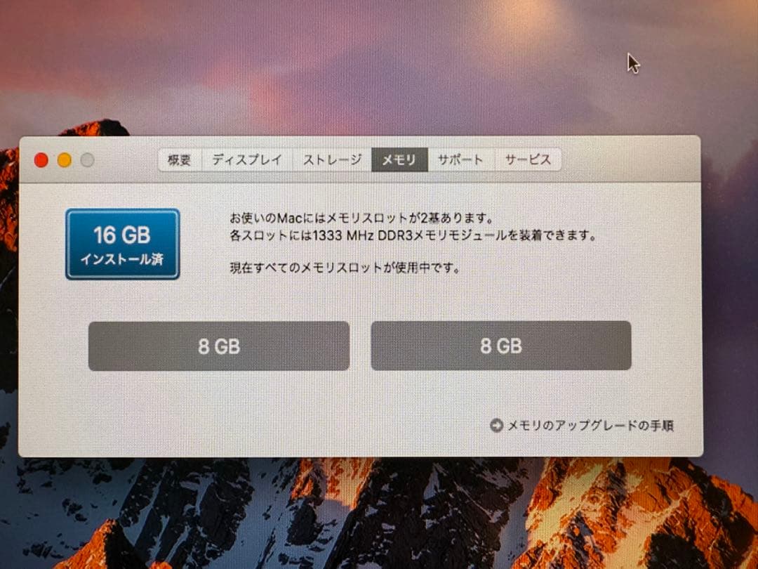 Mac mini Mid 2010 メモリ16GB/SSD250GB換装済み
