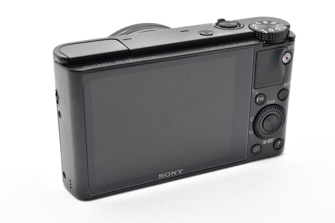 SONY DSC-RX100 初代 0306