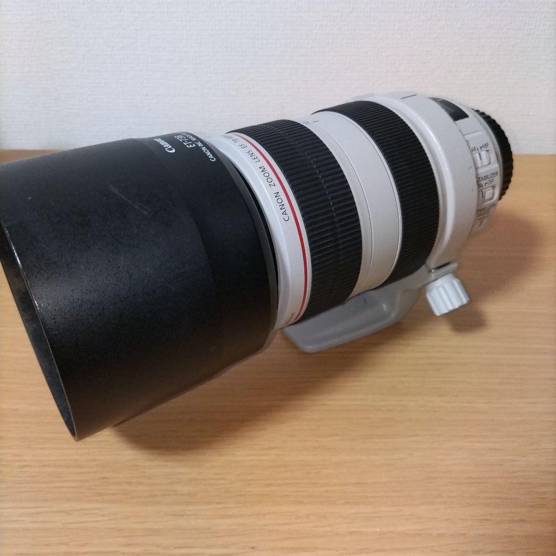 Canon EF 70-300mm F4.5-5.6L IS USM　白レンズ
