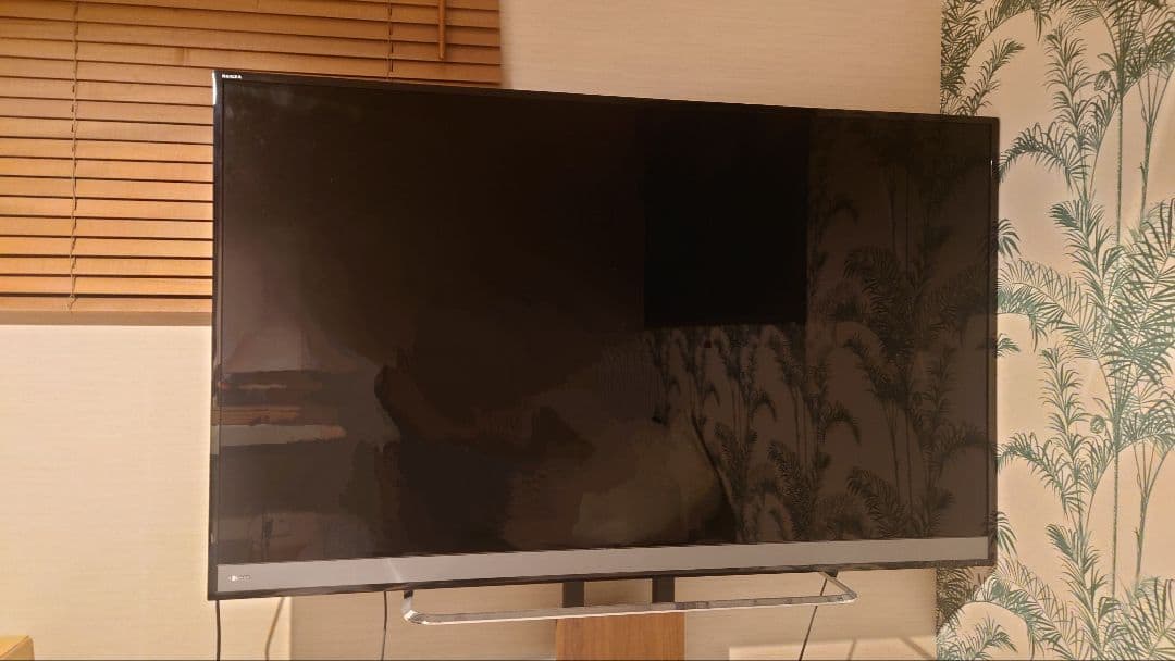 東芝REGZA 58M510X 58型 4K
