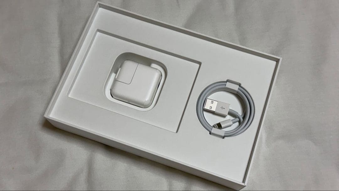 【美品】iPad mini5 ＋Apple Pencil 第1世代 送料無料