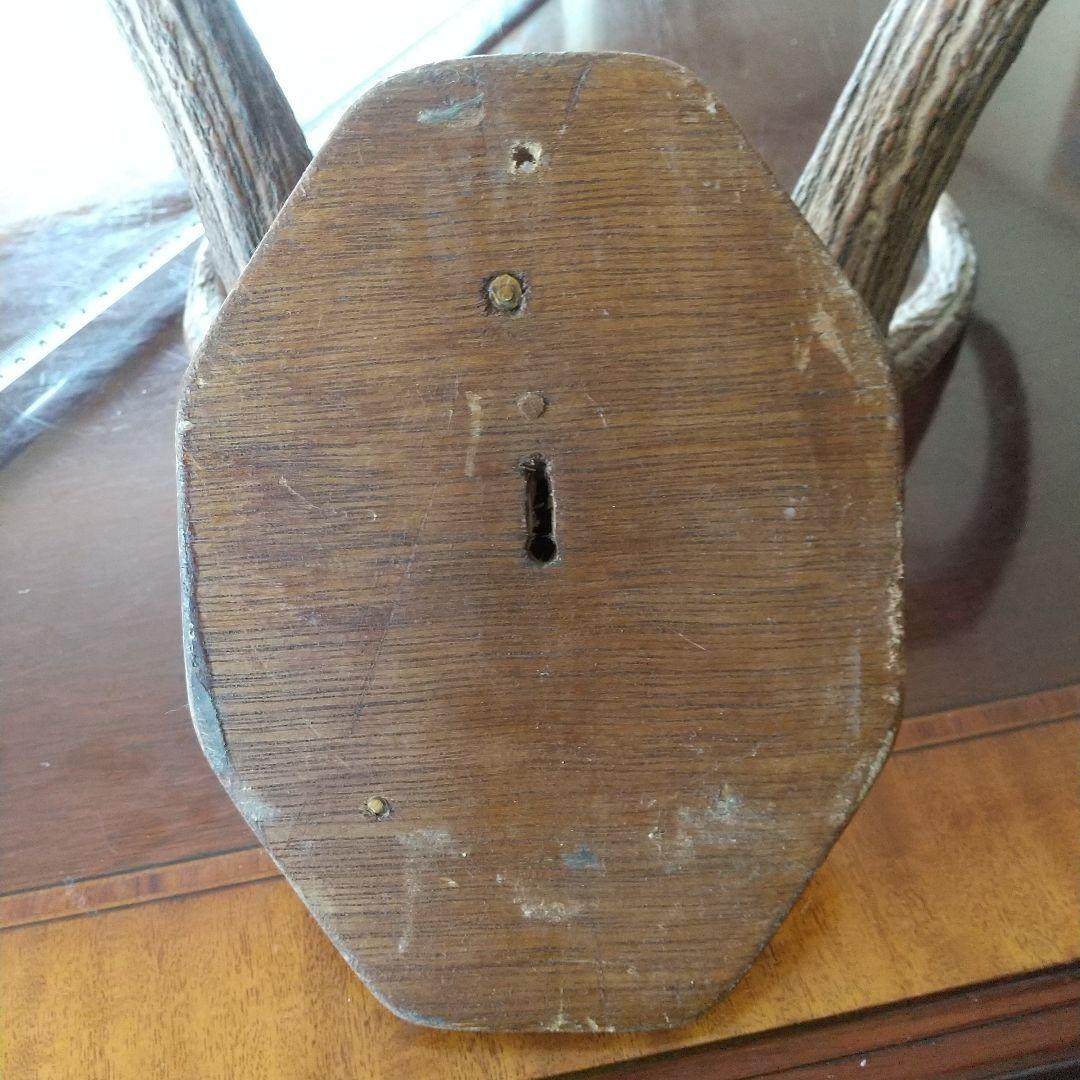 鹿の角 インテリア装飾 約60cm