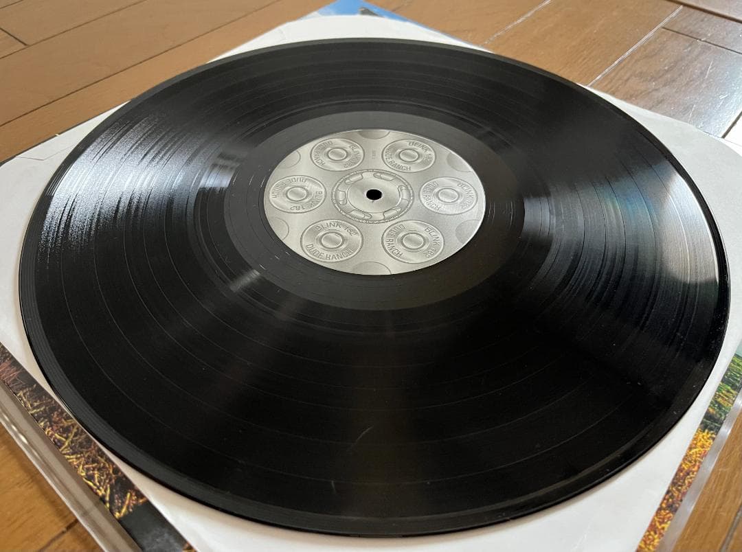 【初回プレス】BLINK 182 / DUDE RANCH