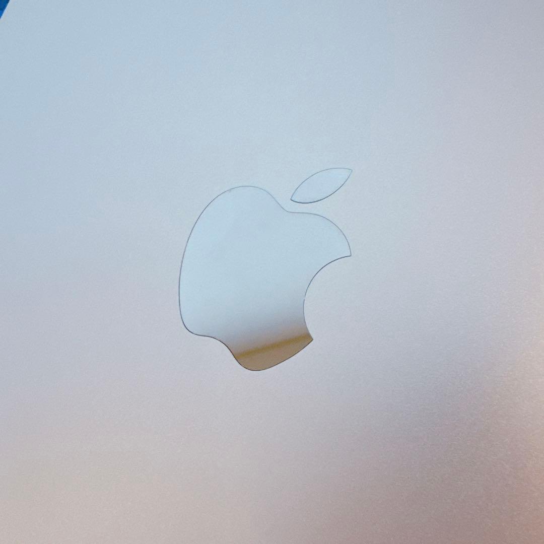 iPad Pro 11インチ 第2世代（256GB シルバー）