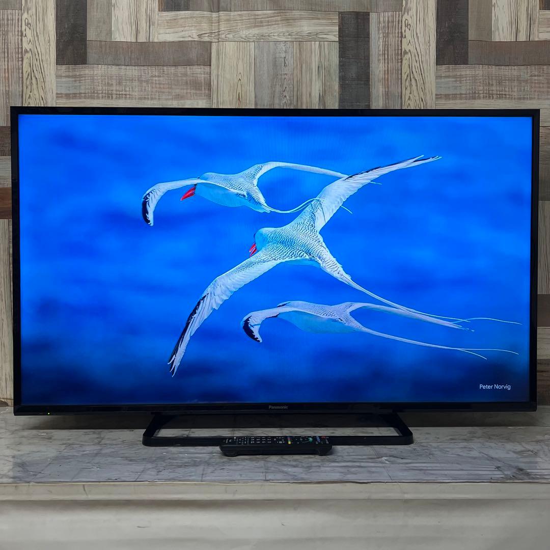 即日受渡❣️全国送料込パナソニック49V型地上デジタルBSCSテレビWチューナー