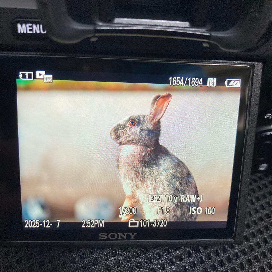 ソニー　Sony α7Ⅲ ミラーレス　一眼レフ　キタムラ保証付き