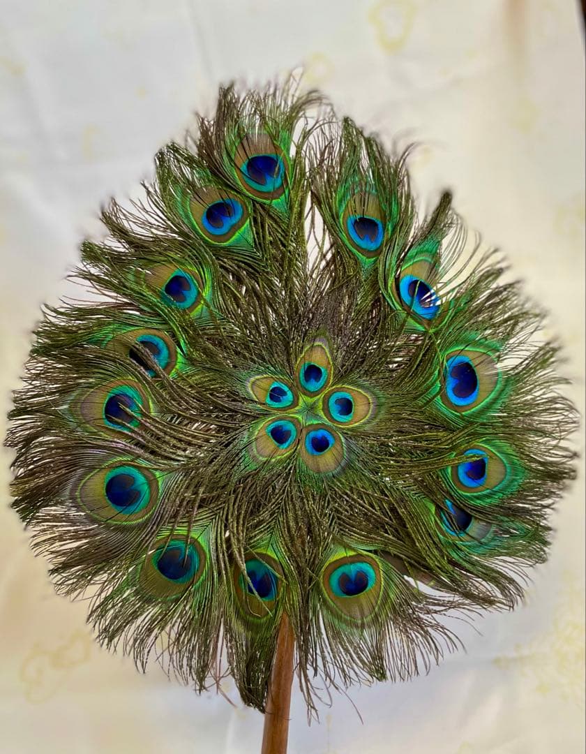 ★超貴重！縁起物★本物 孔雀の羽うちわ 特大52cm×40cm 2枚