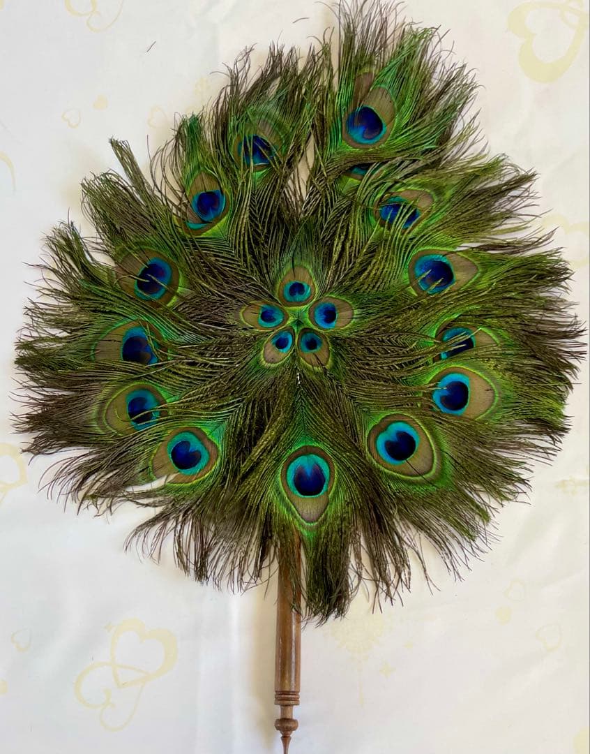 ★超貴重！縁起物★本物 孔雀の羽うちわ 特大52cm×40cm 2枚